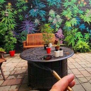 magic-garden-smoke-3